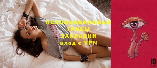 мет Алексин