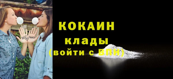 шишки Новокубанск