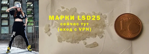 ECSTASY Алзамай