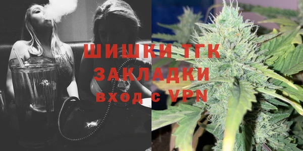 ECSTASY Алзамай