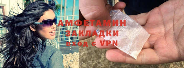 мет Алексин