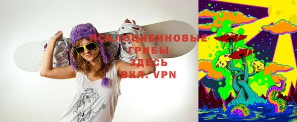 мет Алексин